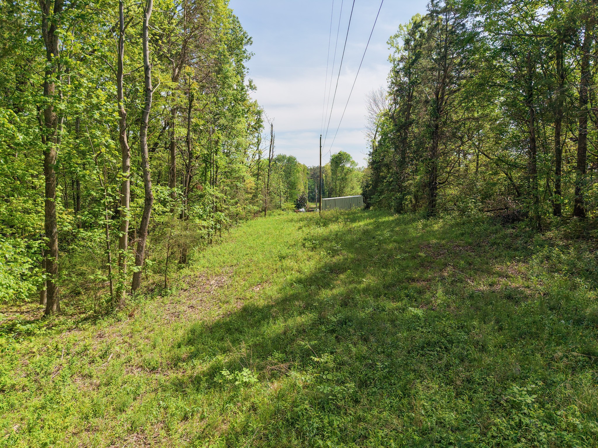 7194 Dice Lampley Road Fairview TN 37062
