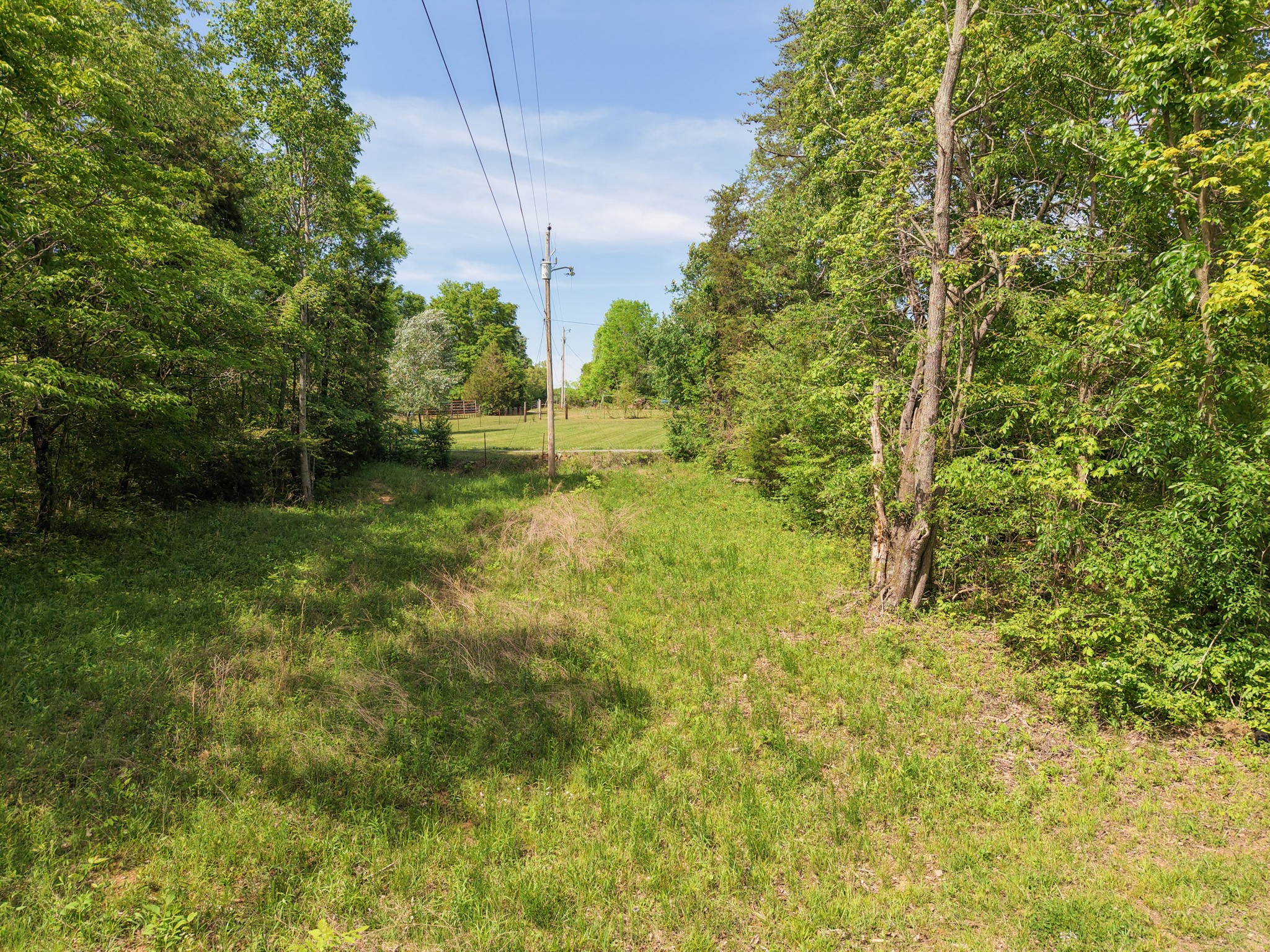 7194 Dice Lampley Road Fairview TN 37062