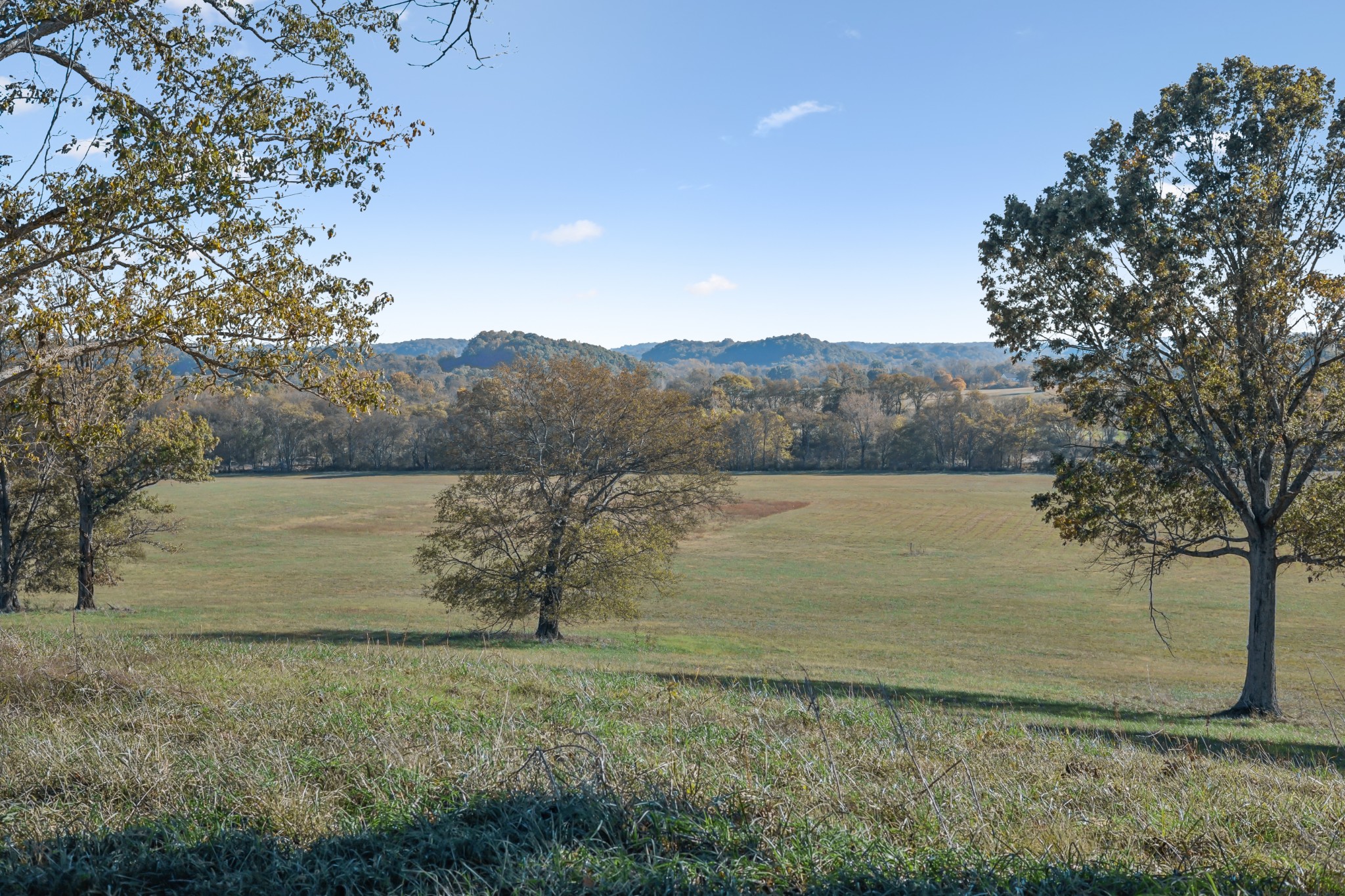 0 Briarden Court Franklin TN 37064