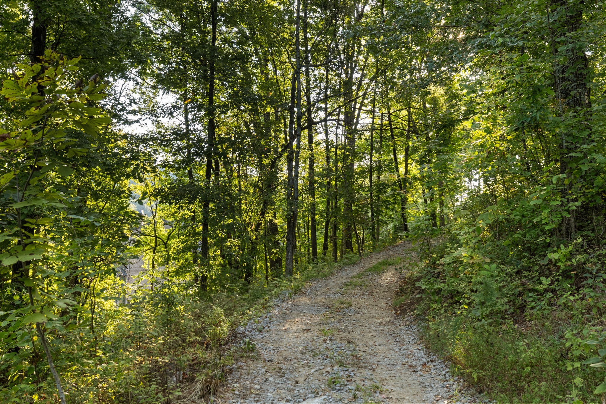 1858 Burke Hollow Road Nolensville TN 37135