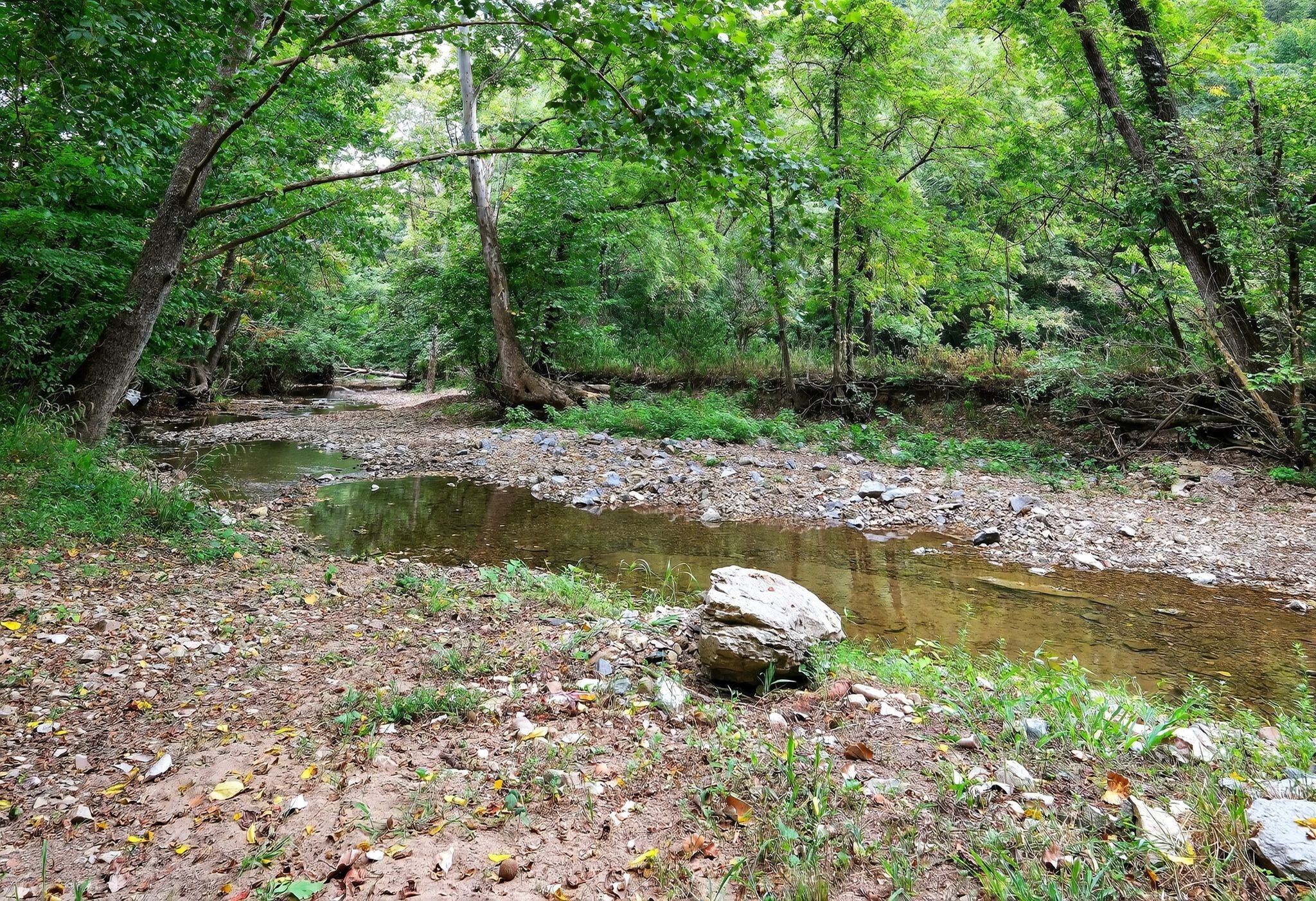 3119 Tyree Springs Road Hendersonville TN 37075