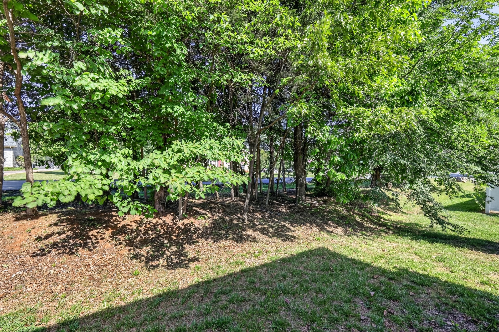 2054 Caladonia Way Smyrna TN 37167