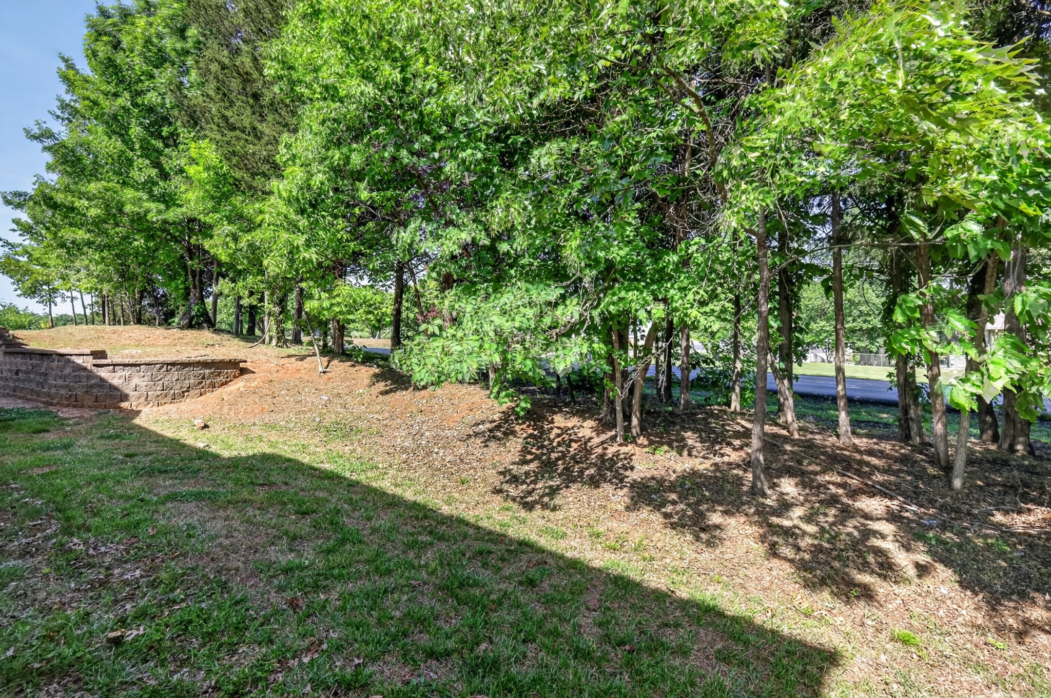 2054 Caladonia Way Smyrna TN 37167