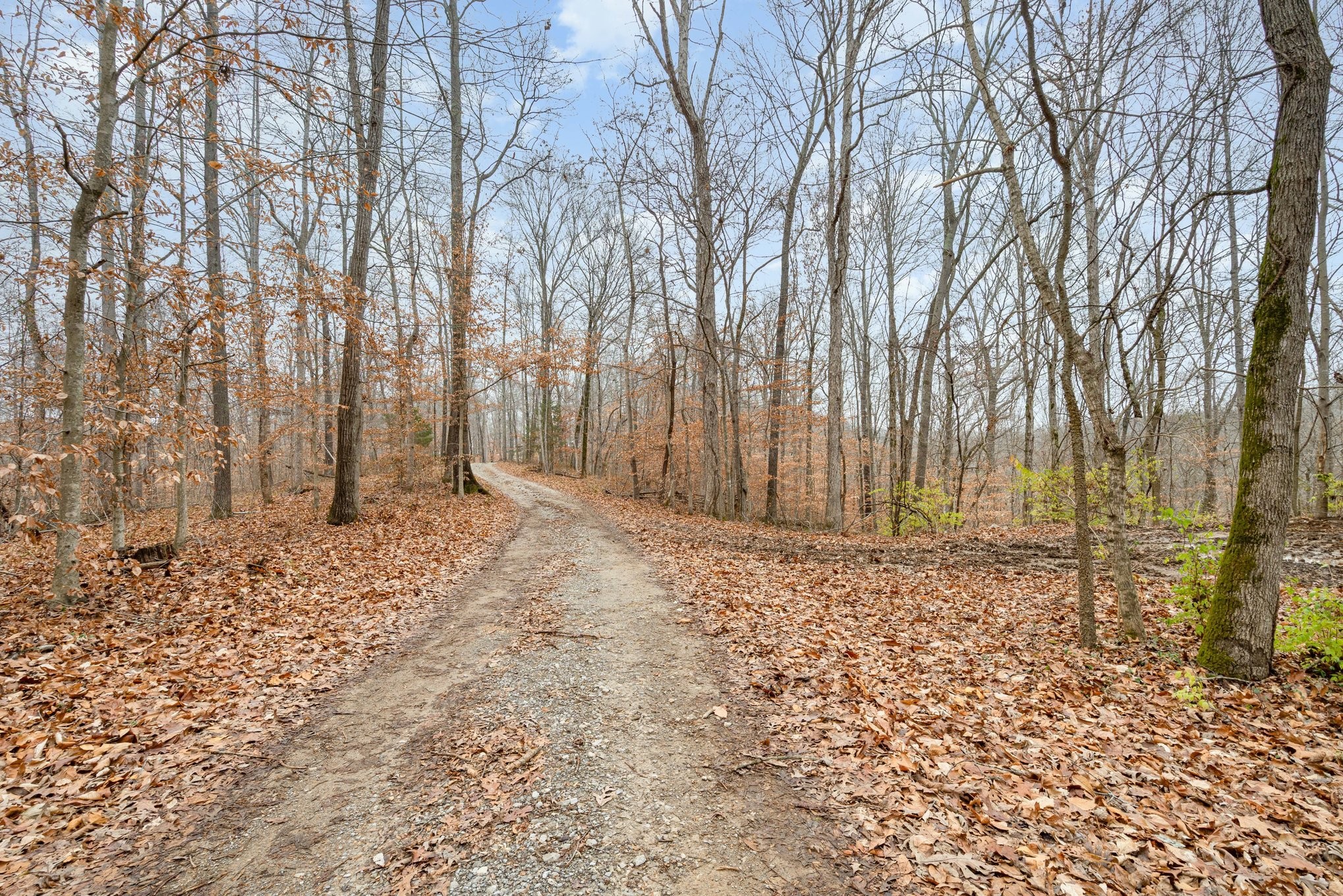 0 Anderson Road Pegram TN 37143
