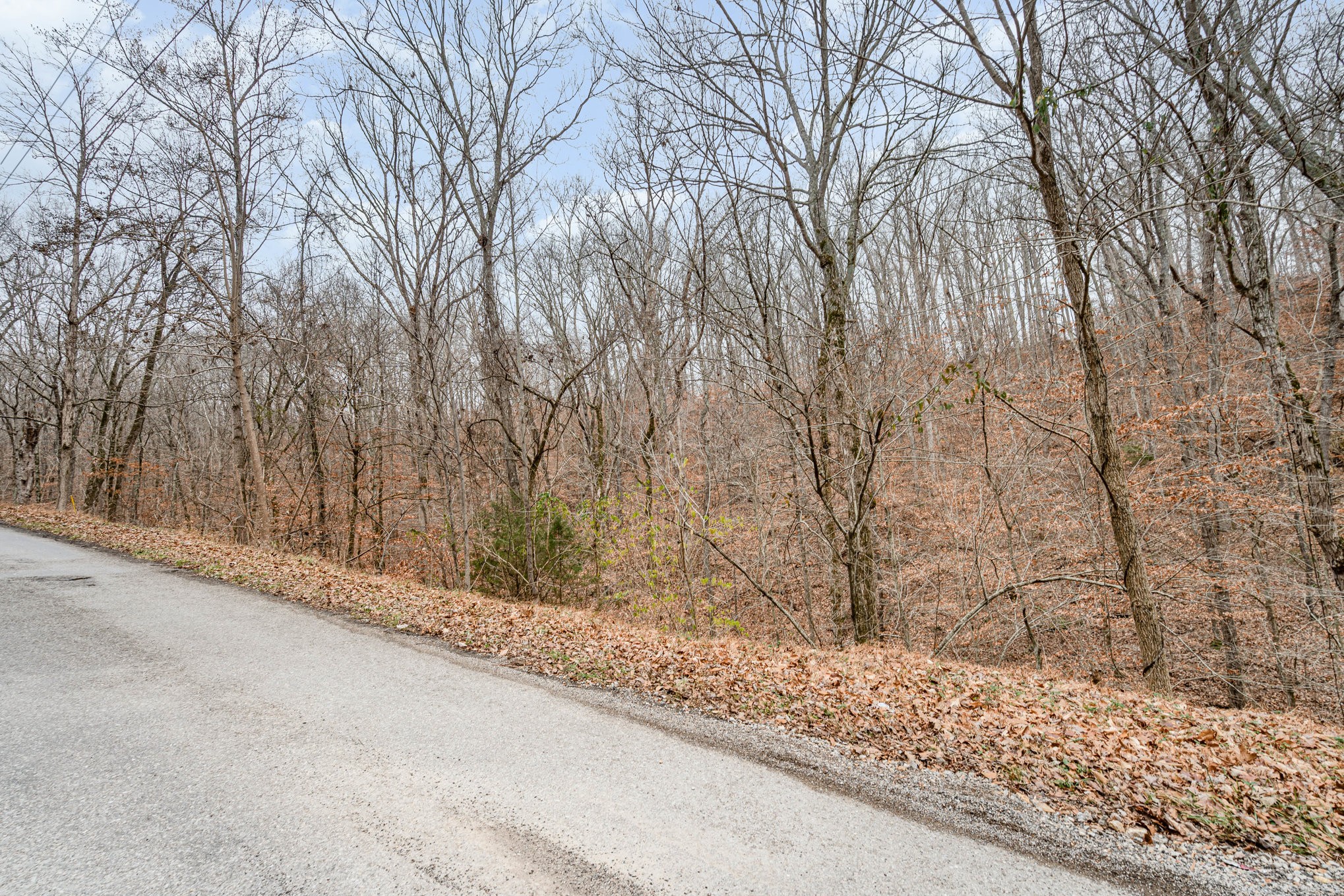 0 Anderson Road Pegram TN 37143