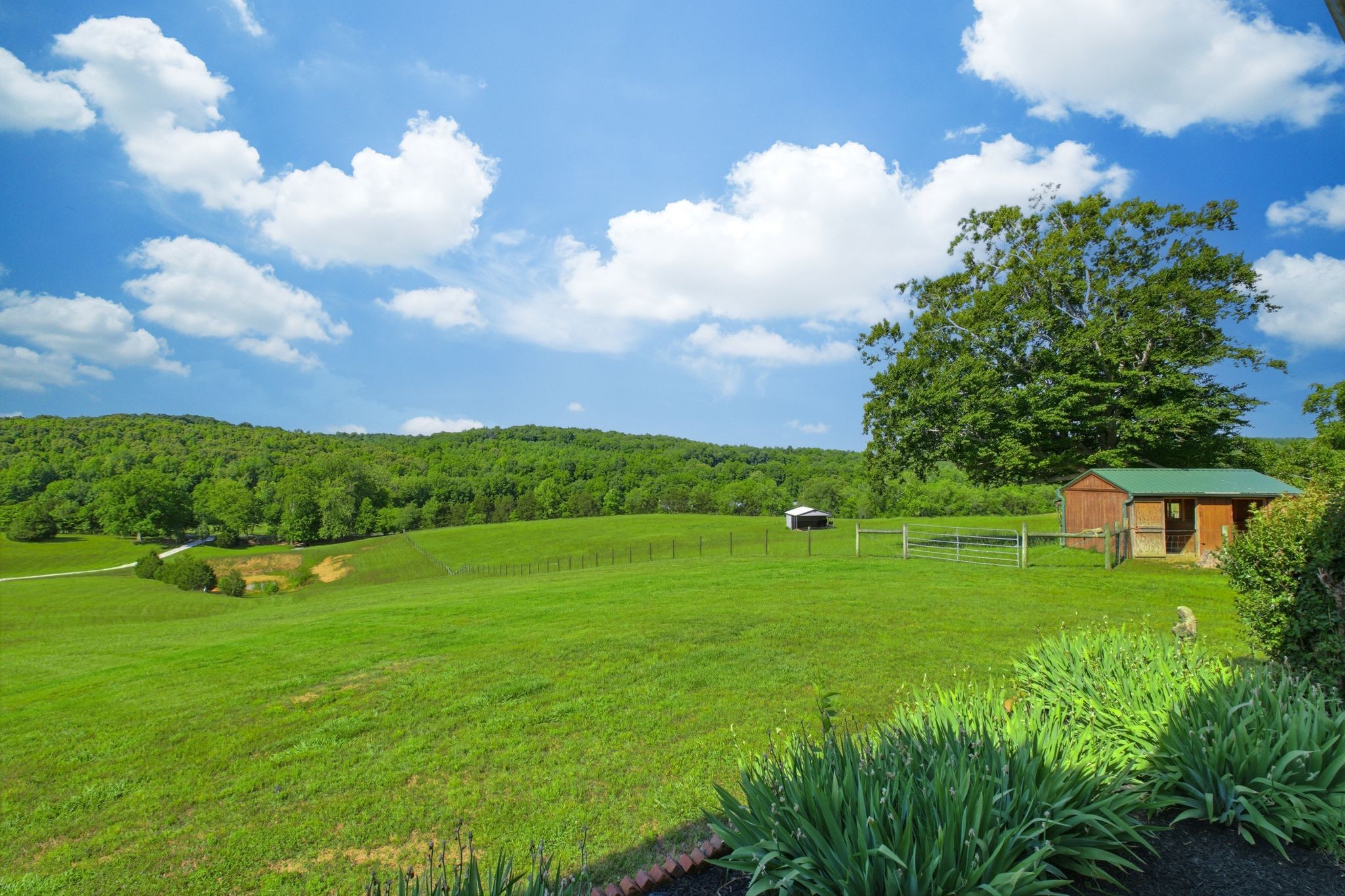 1732 Cedar Creek Road Vanleer TN 37181