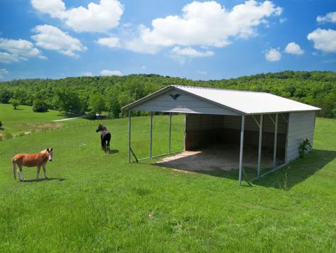 1732 Cedar Creek Road Vanleer TN 37181