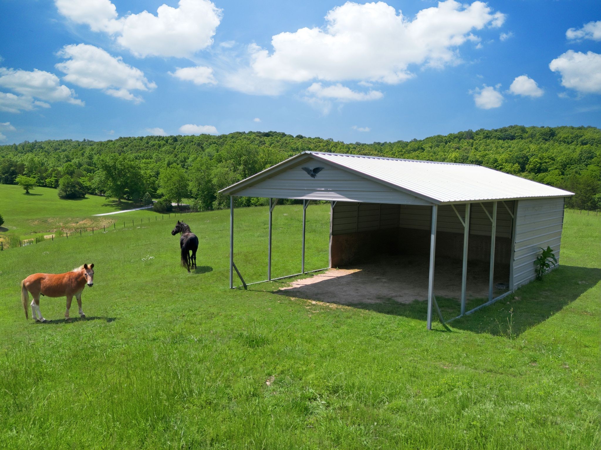 1732 Cedar Creek Road Vanleer TN 37181