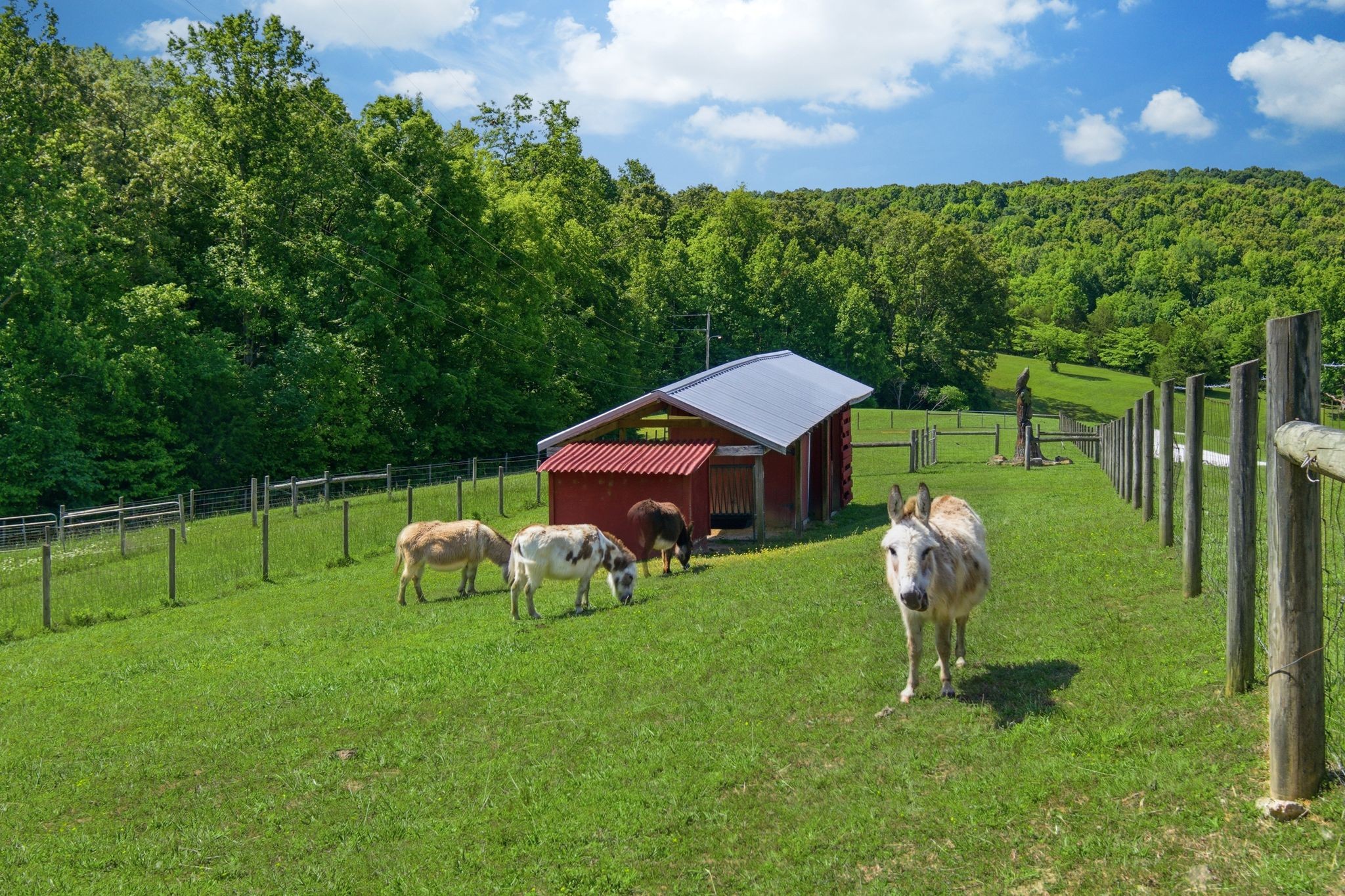 1732 Cedar Creek Road Vanleer TN 37181