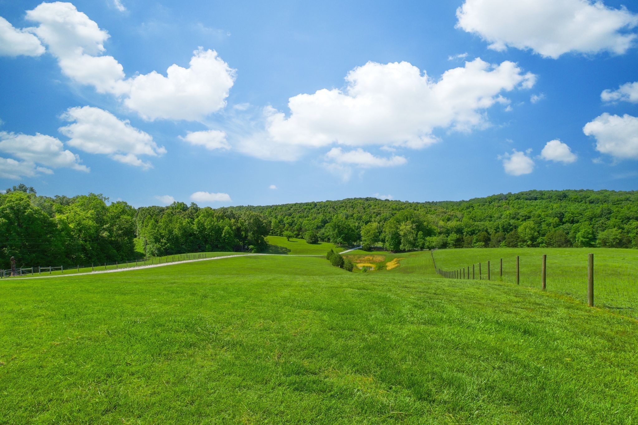 1732 Cedar Creek Road Vanleer TN 37181