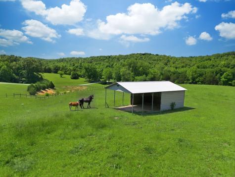 1732 Cedar Creek Road Vanleer TN 37181