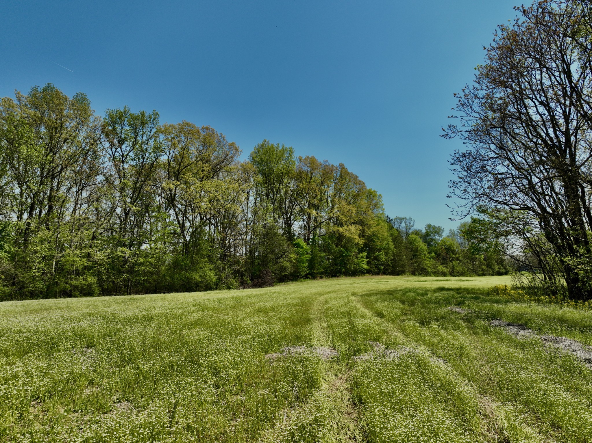 1130 Kermet Turner Road Rock Island TN 38581