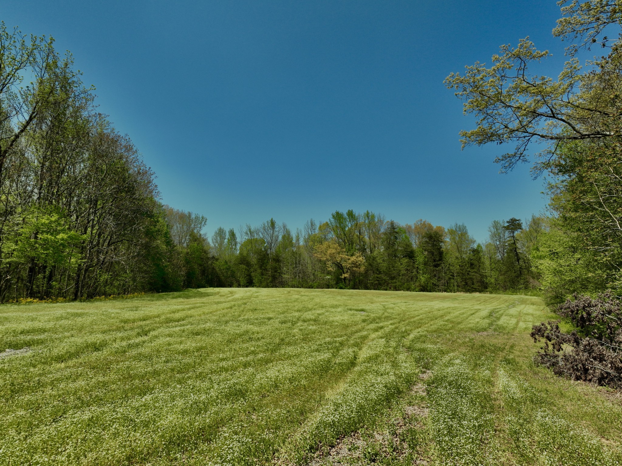 1130 Kermet Turner Road Rock Island TN 38581