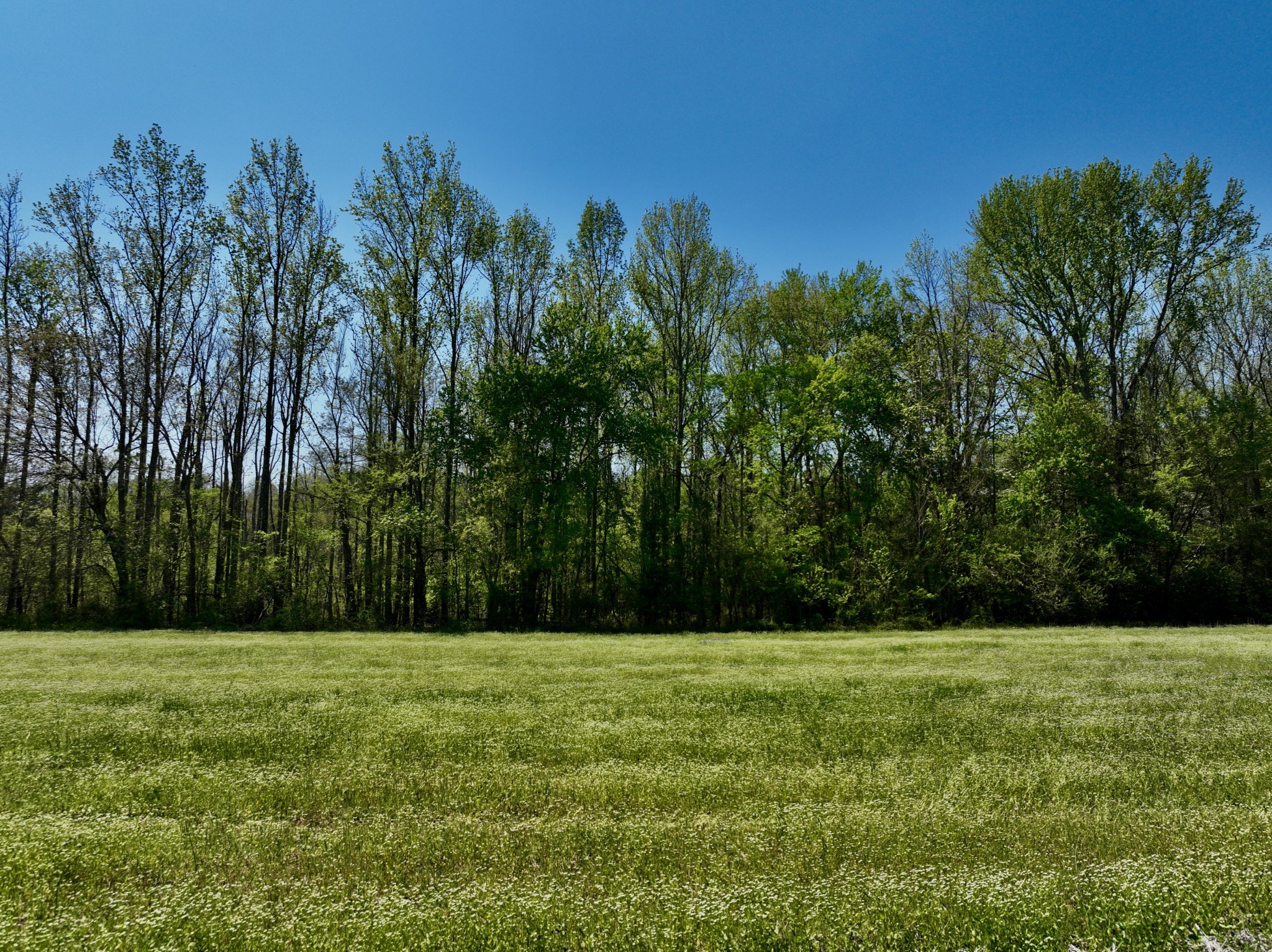 1130 Kermet Turner Road Rock Island TN 38581