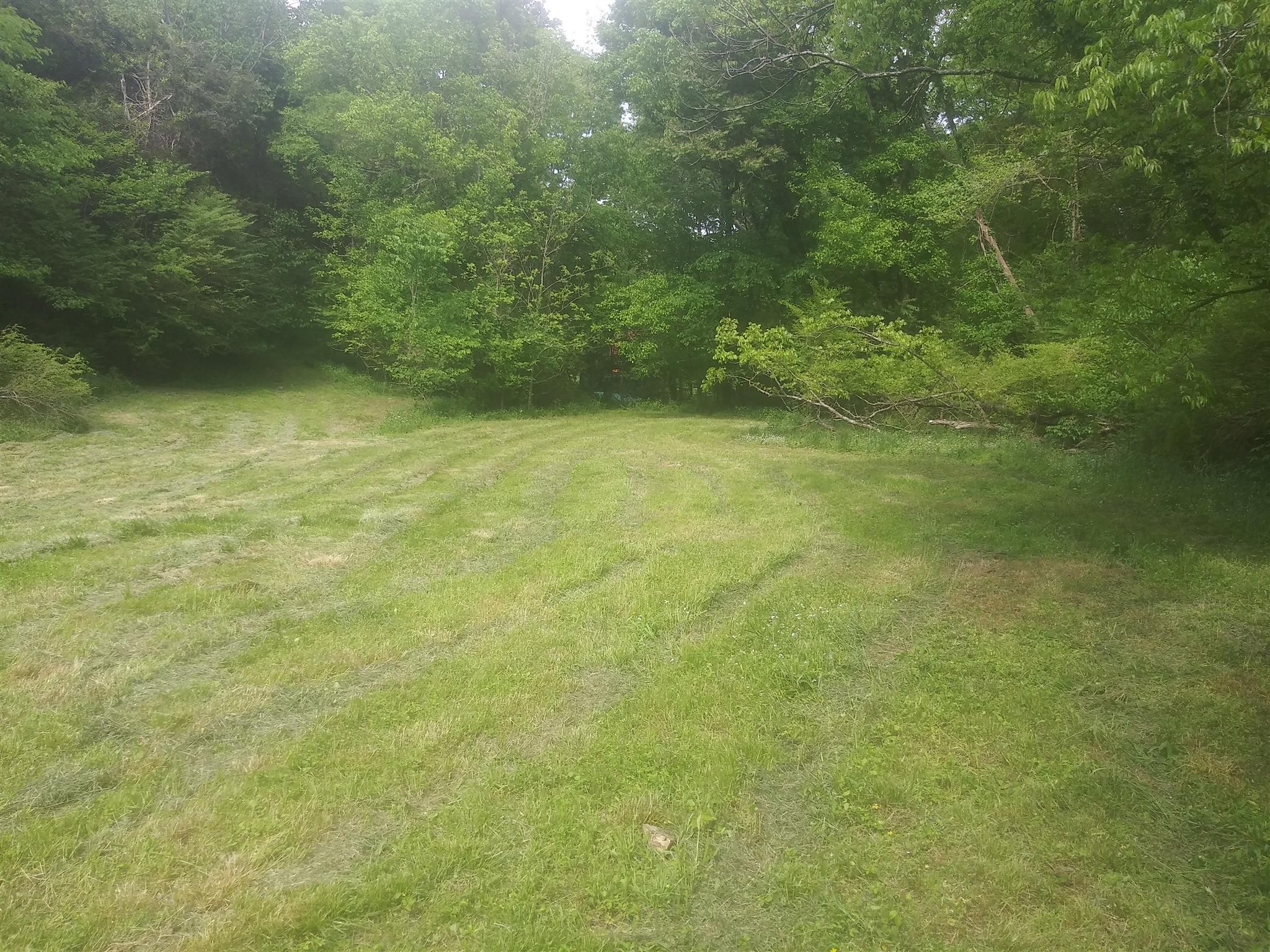 0 Sullivan Bend Road Elmwood TN 38560