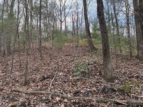 0 Chestnut Mountain Road Reliance TN 37369