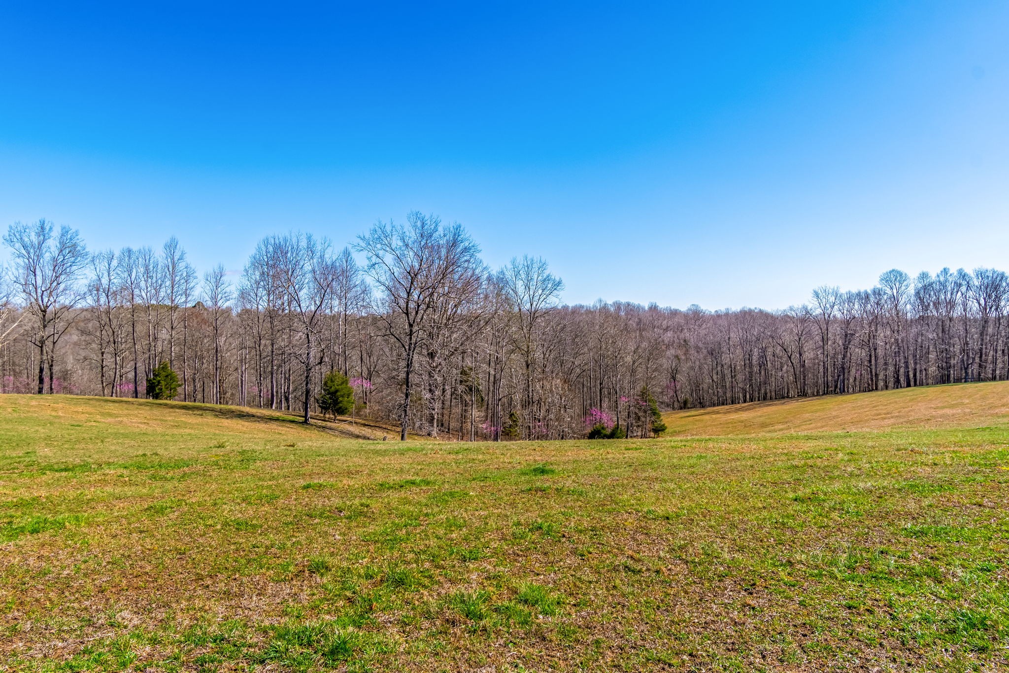 801 Collier Bend Road Charlotte TN 37036