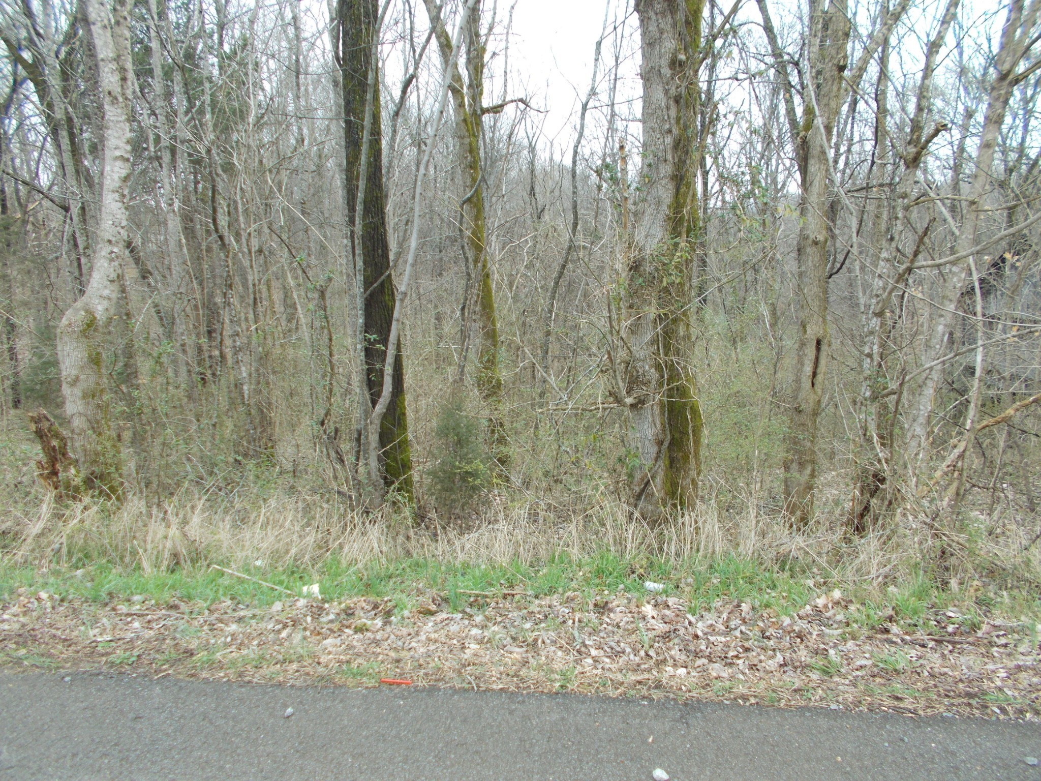 0 Bobbitt Road Ashland City TN 37015