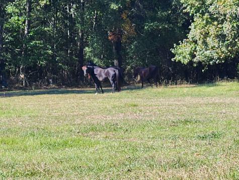 0 Old Alto Highway Decherd TN 37324