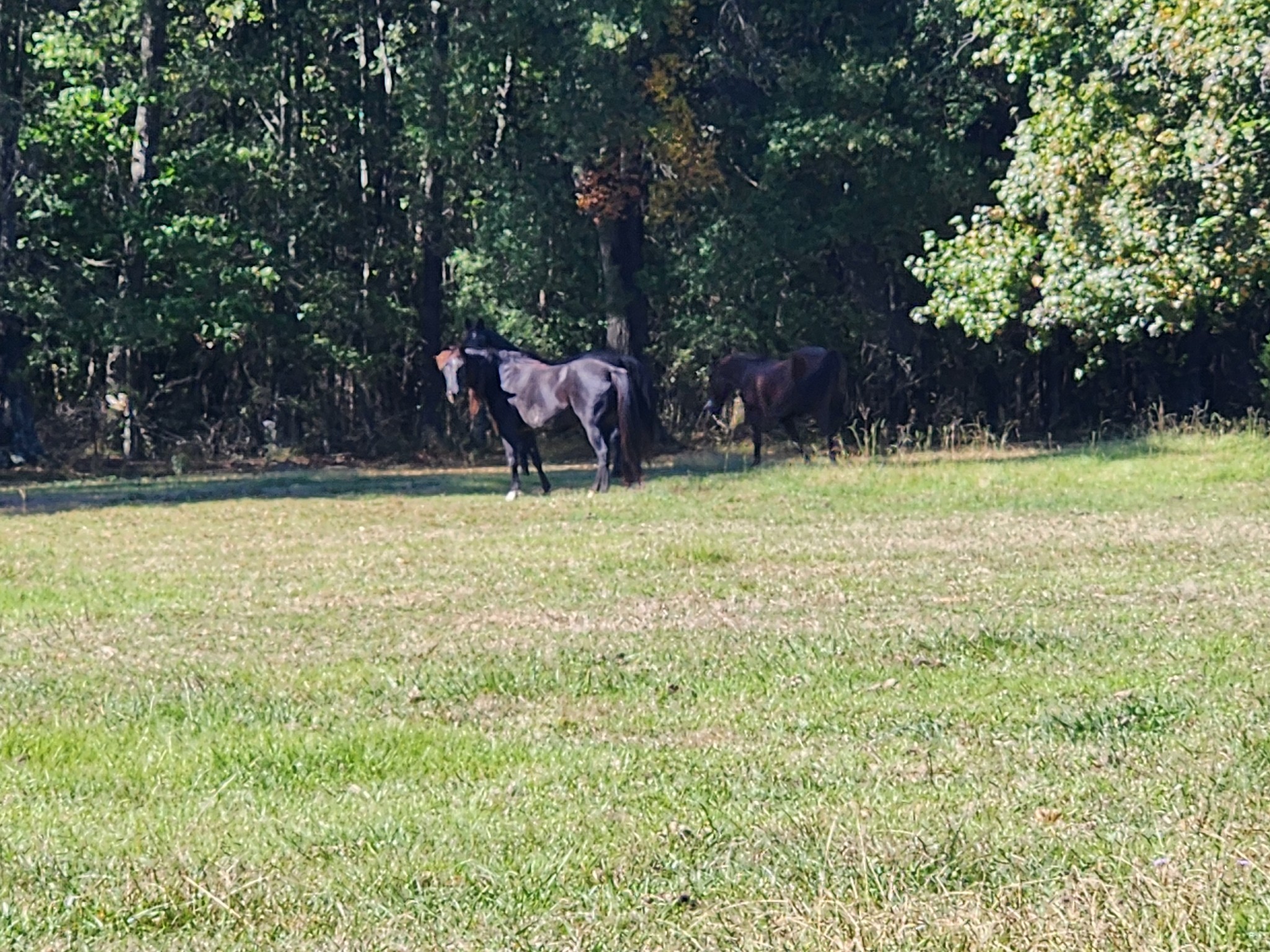 0 Old Alto Highway Decherd TN 37324