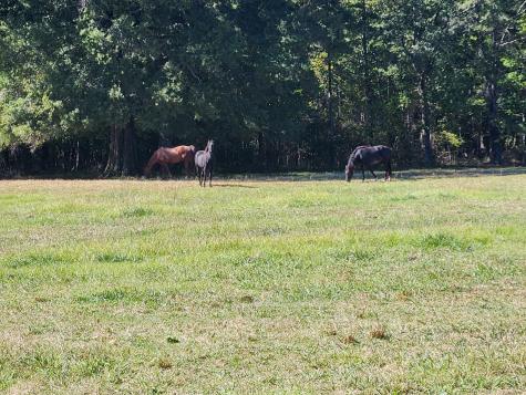 0 Old Alto Highway Decherd TN 37324