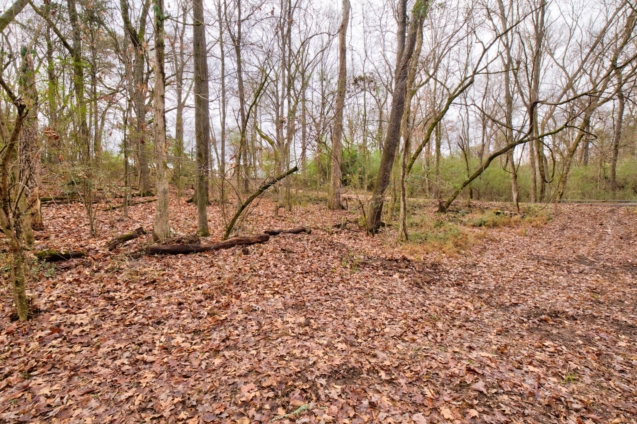 242013410 N Shore Acres & Lisa Lane Road Soddy Daisy TN 37379
