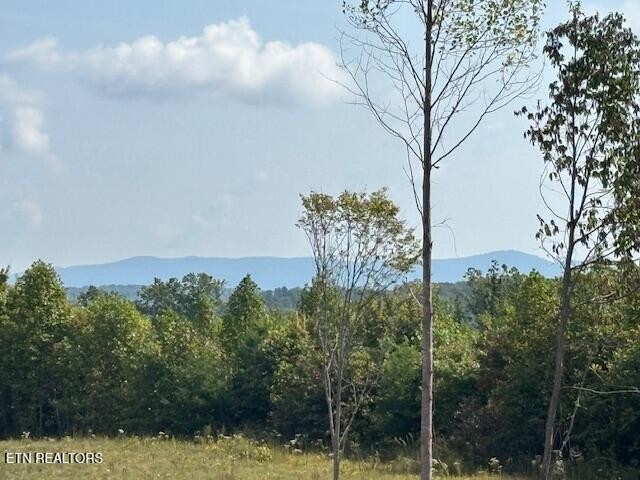 0 Otis Davis Road Pikeville TN 37367