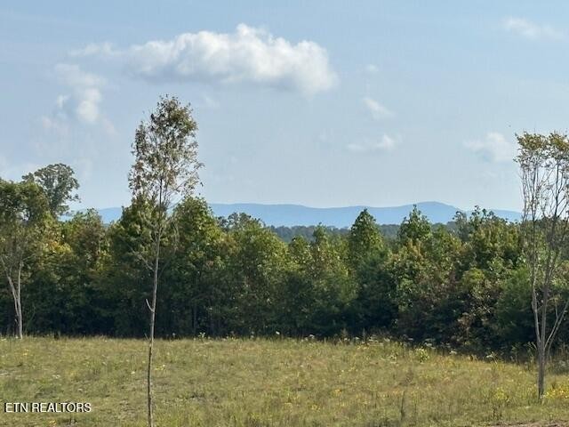 0 Otis Davis Road Pikeville TN 37367
