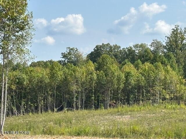 0 Otis Davis Road Pikeville TN 37367