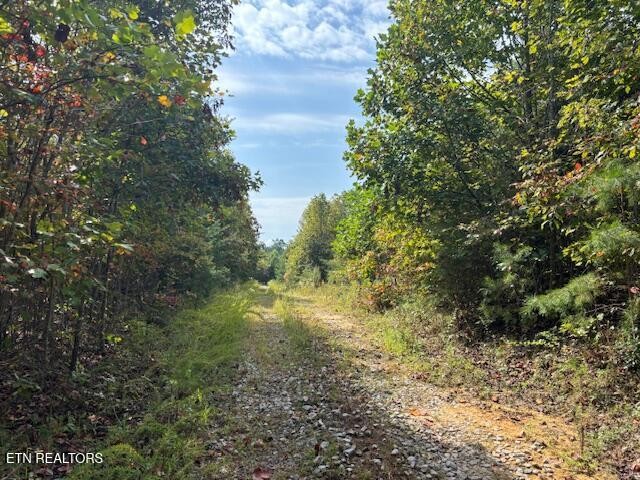 0 Otis Davis Road Pikeville TN 37367