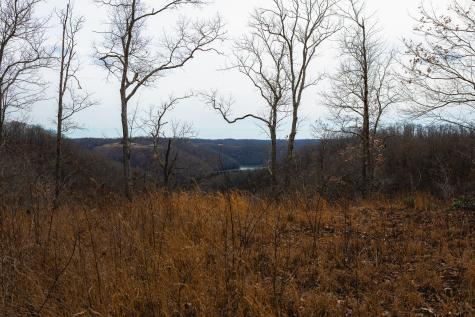 655 Burton Ridge Road Silver Point TN 38582