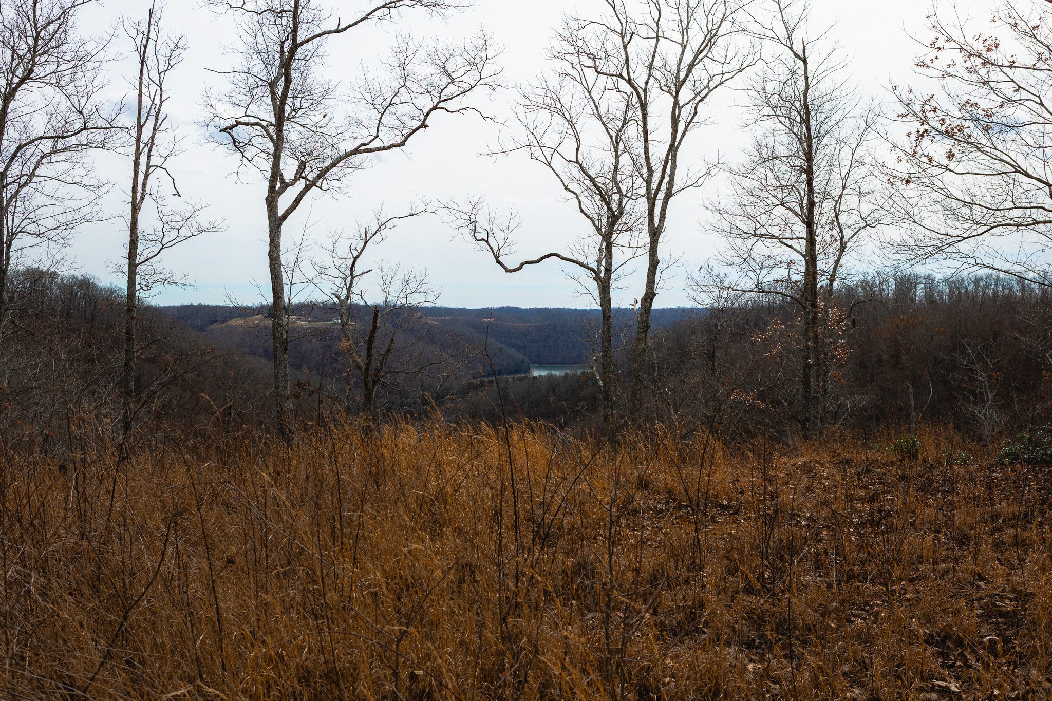 655 Burton Ridge Road Silver Point TN 38582