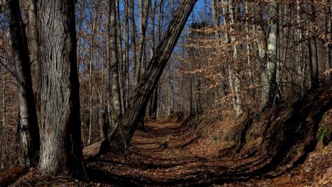 655 Burton Ridge Road Silver Point TN 38582