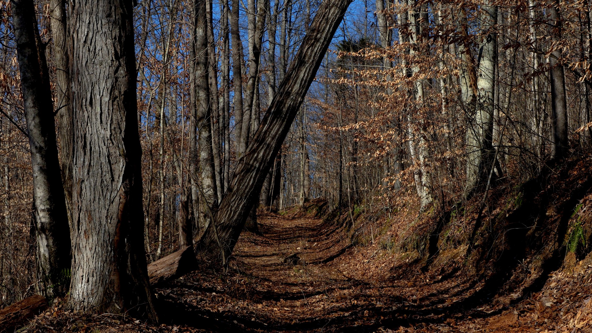 655 Burton Ridge Road Silver Point TN 38582