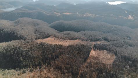 655 Burton Ridge Road Silver Point TN 38582