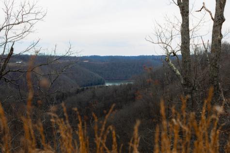655 Burton Ridge Road Silver Point TN 38582
