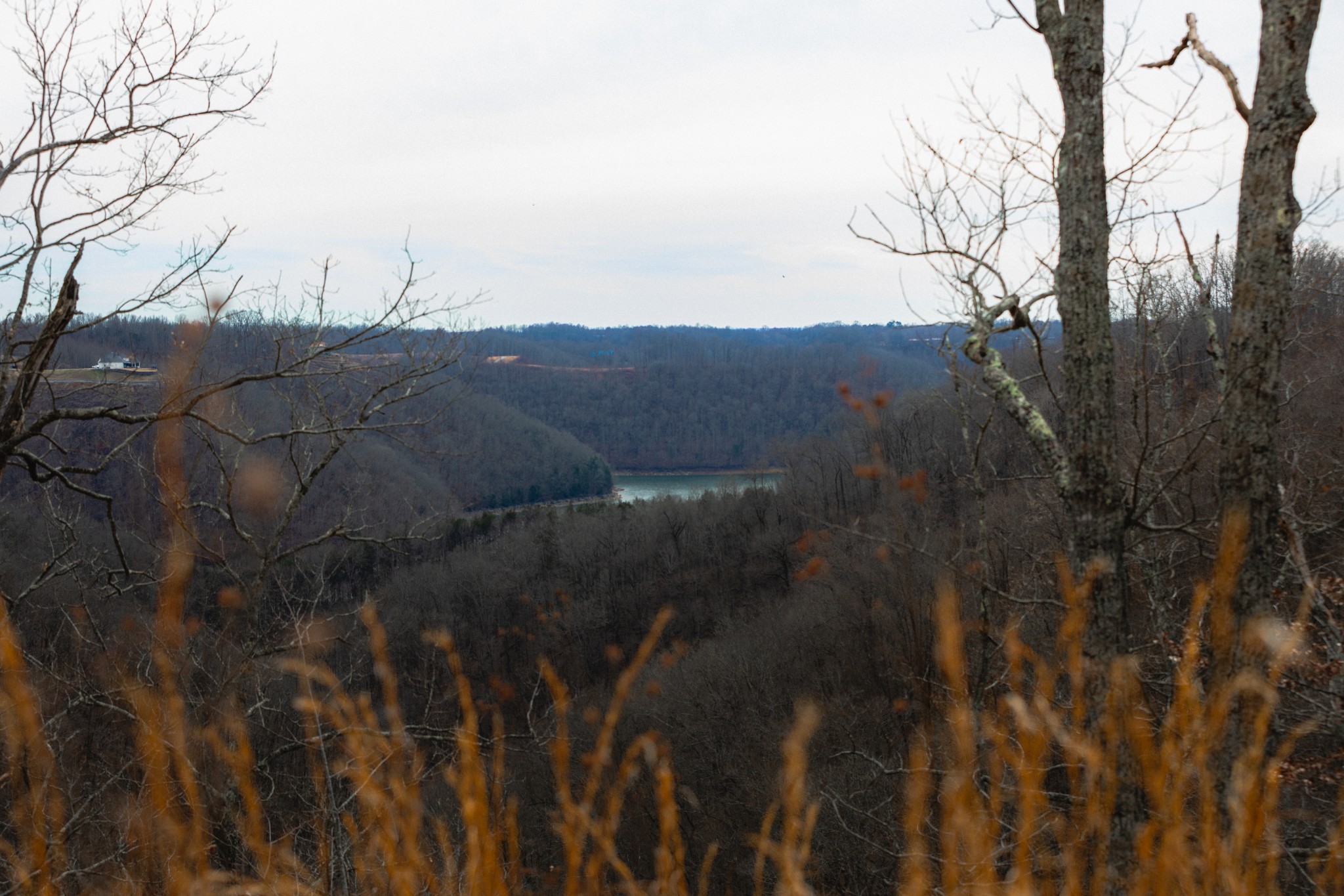 655 Burton Ridge Road Silver Point TN 38582