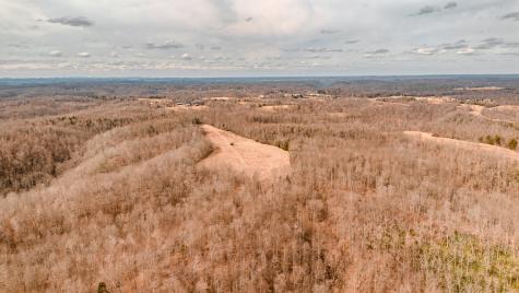 655 Burton Ridge Road Silver Point TN 38582