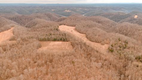 655 Burton Ridge Road Silver Point TN 38582