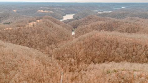 655 Burton Ridge Road Silver Point TN 38582