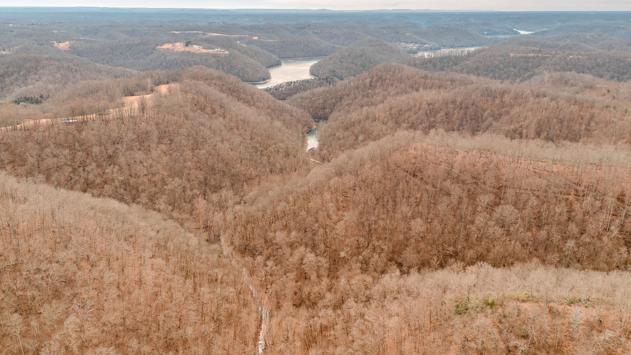 655 Burton Ridge Road Silver Point TN 38582