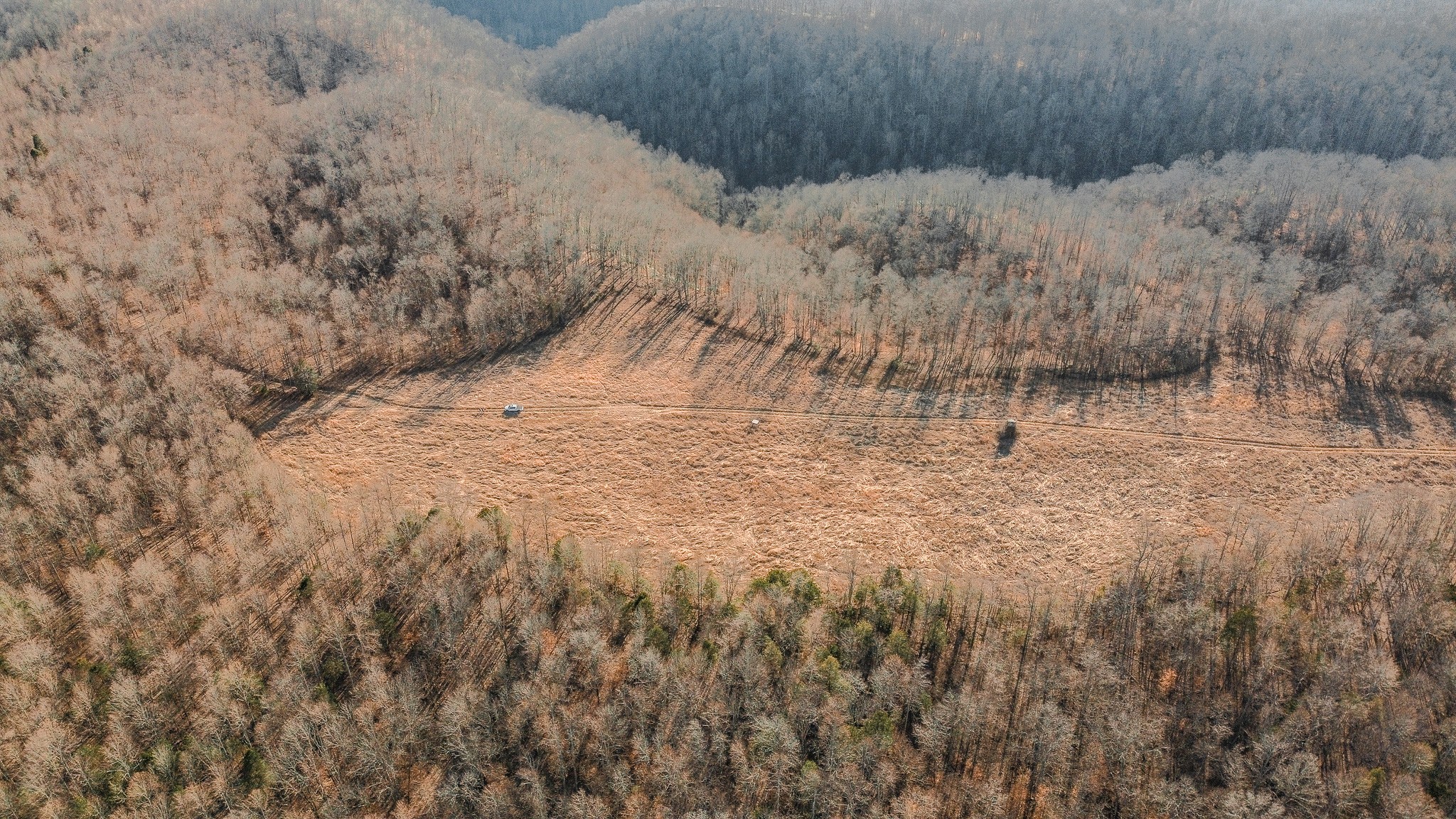 655 Burton Ridge Road Silver Point TN 38582