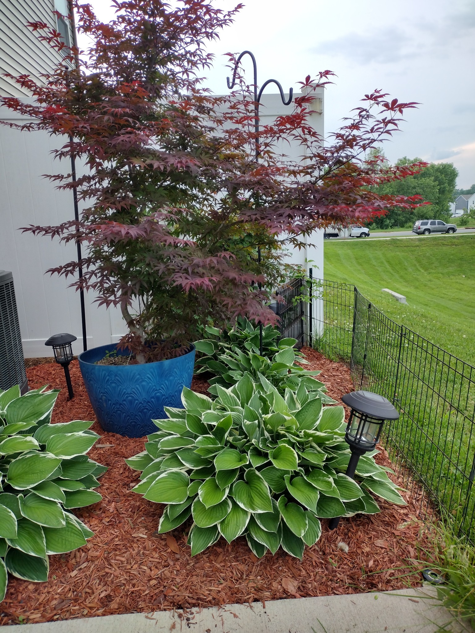 423 Palmetto Drive Columbia TN 38401