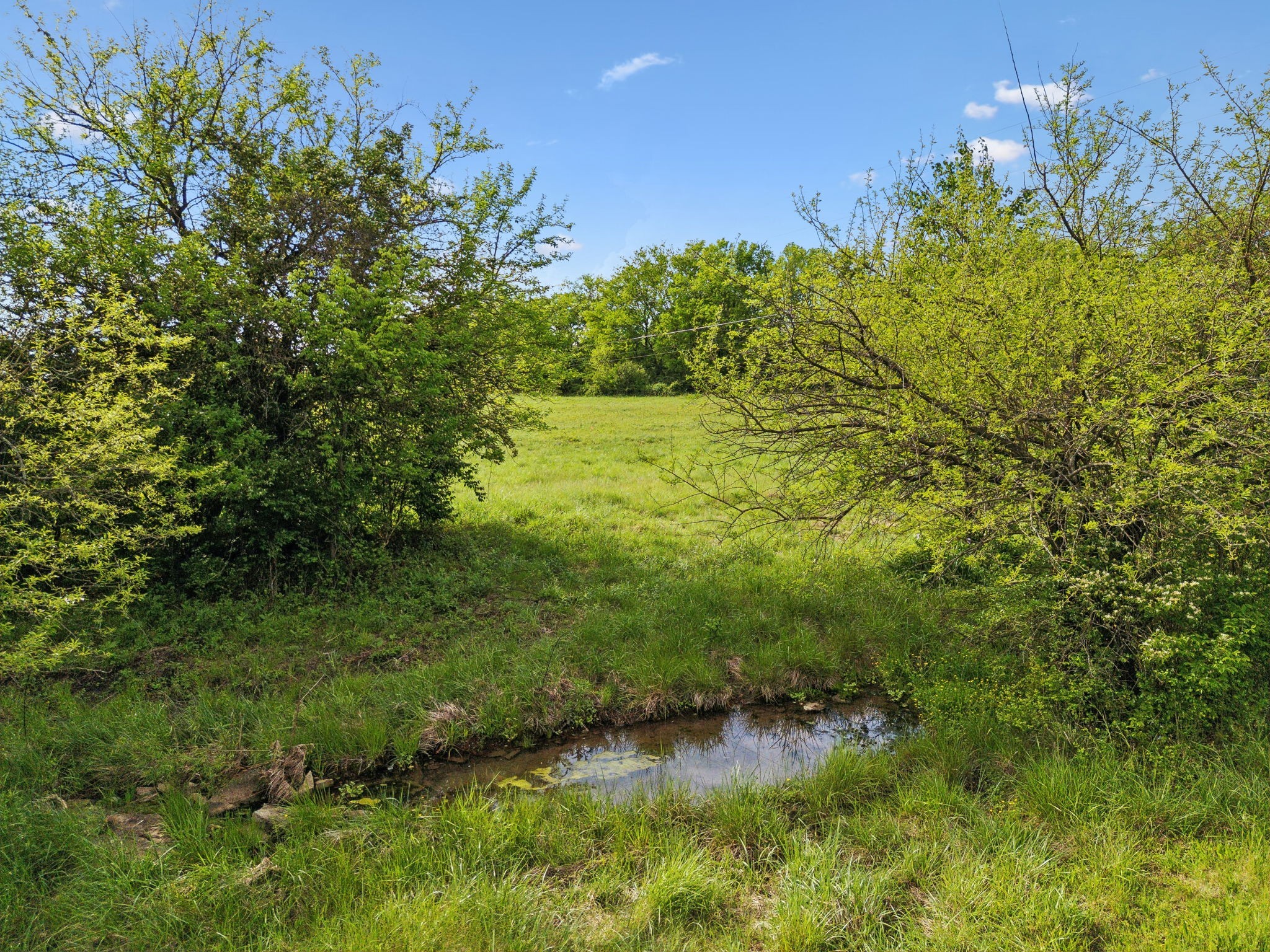 0 Polk Lane Columbia TN 38401
