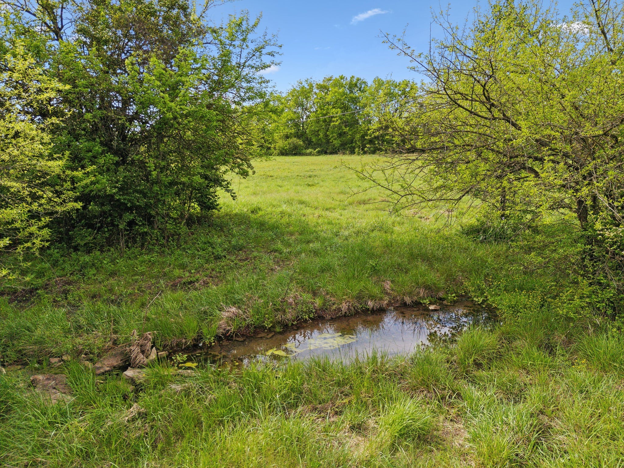 0 Polk Lane Columbia TN 38401