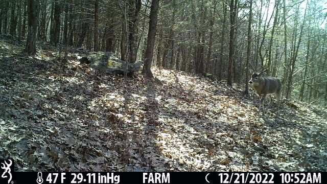 1964 Bradford Road Petersburg TN 37144