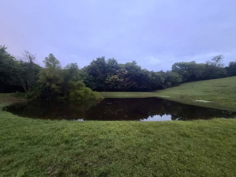 1964 Bradford Road Petersburg TN 37144