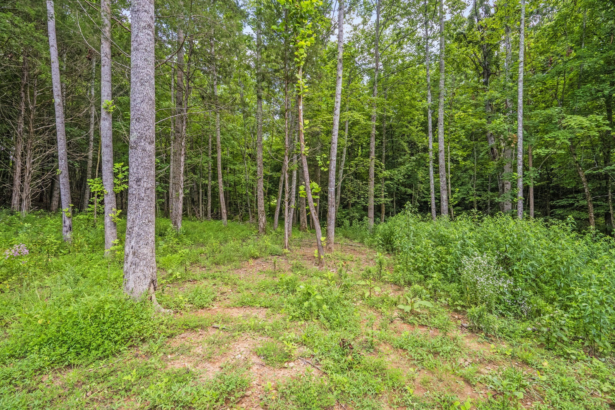 1068 Carl Perry Road Ashland City TN 37015