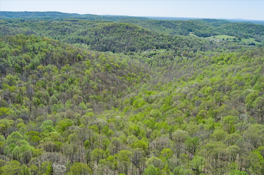 0 Rocky Point Road 34 Acres Cookeville TN 38506