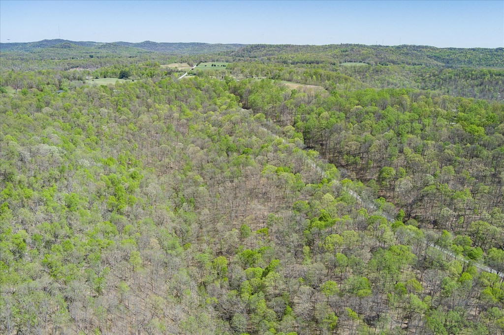 0 Rocky Point Road 34 Acres Cookeville TN 38506